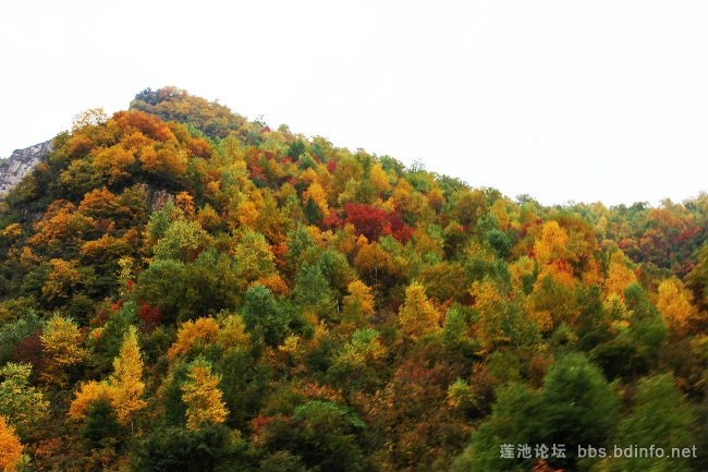 高山之巔的對(duì)決