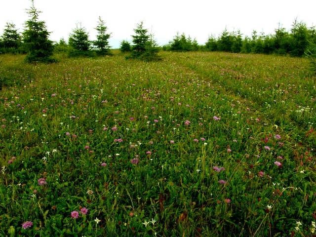 大山深處的呼吸——干凈、純粹！